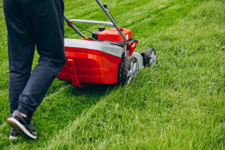 5 Lawn Care Tips That Work Best In Alabama’s Warm Climate