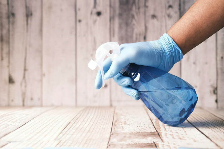 What To Expect From Janssen Pest Control Initial Inspections